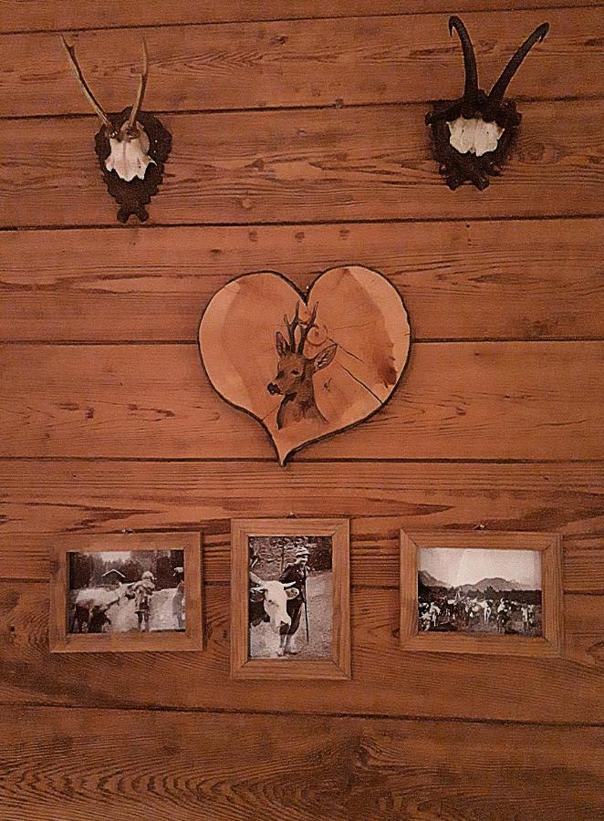 Berggasthof Karntner Alm Hotel Mittenwald Ngoại thất bức ảnh